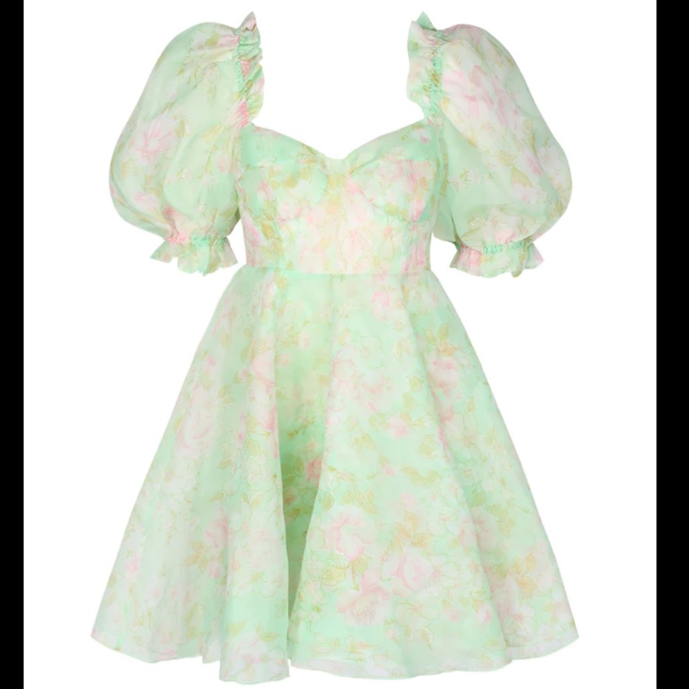 Acid Trip Parliament Dress